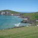 Dingle